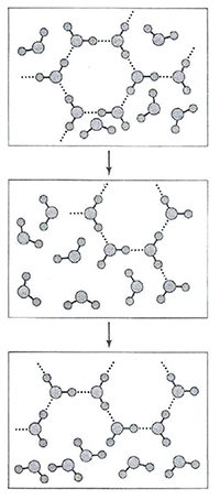 Эволюция кластеров из молекул воды в рамках модели числового моделирования